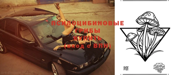 а пвп мука Корсаков