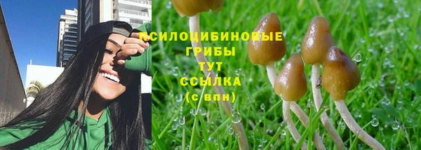 эйфоретик Коряжма
