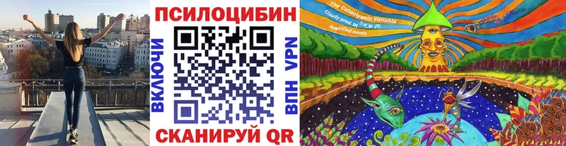 Купить закладки  Демидов  Псилоцибиновые грибы Psilocybe 